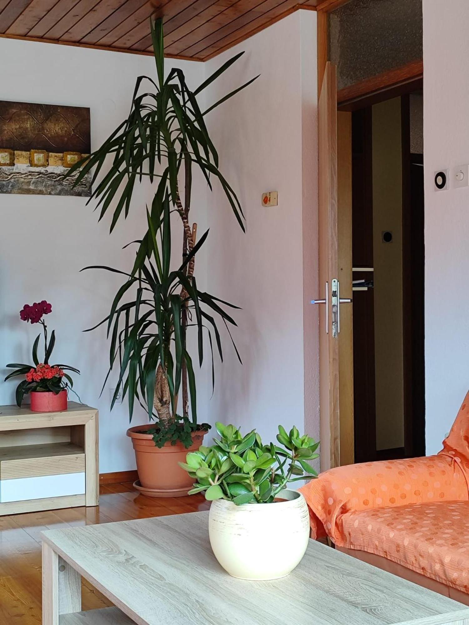 Apartment Kolman Tolmin Buitenkant foto