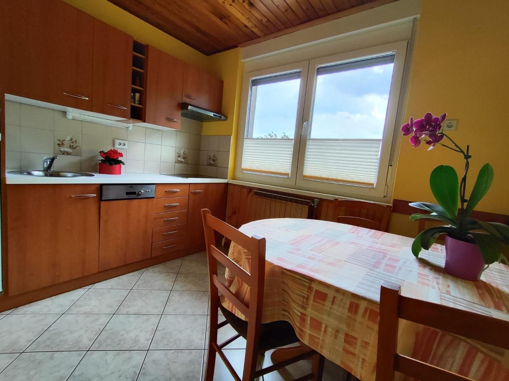 Apartment Kolman Tolmin Buitenkant foto